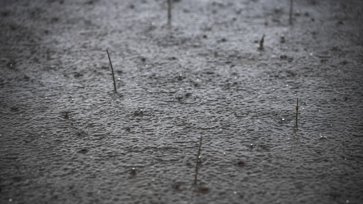 Autumn Rainfall